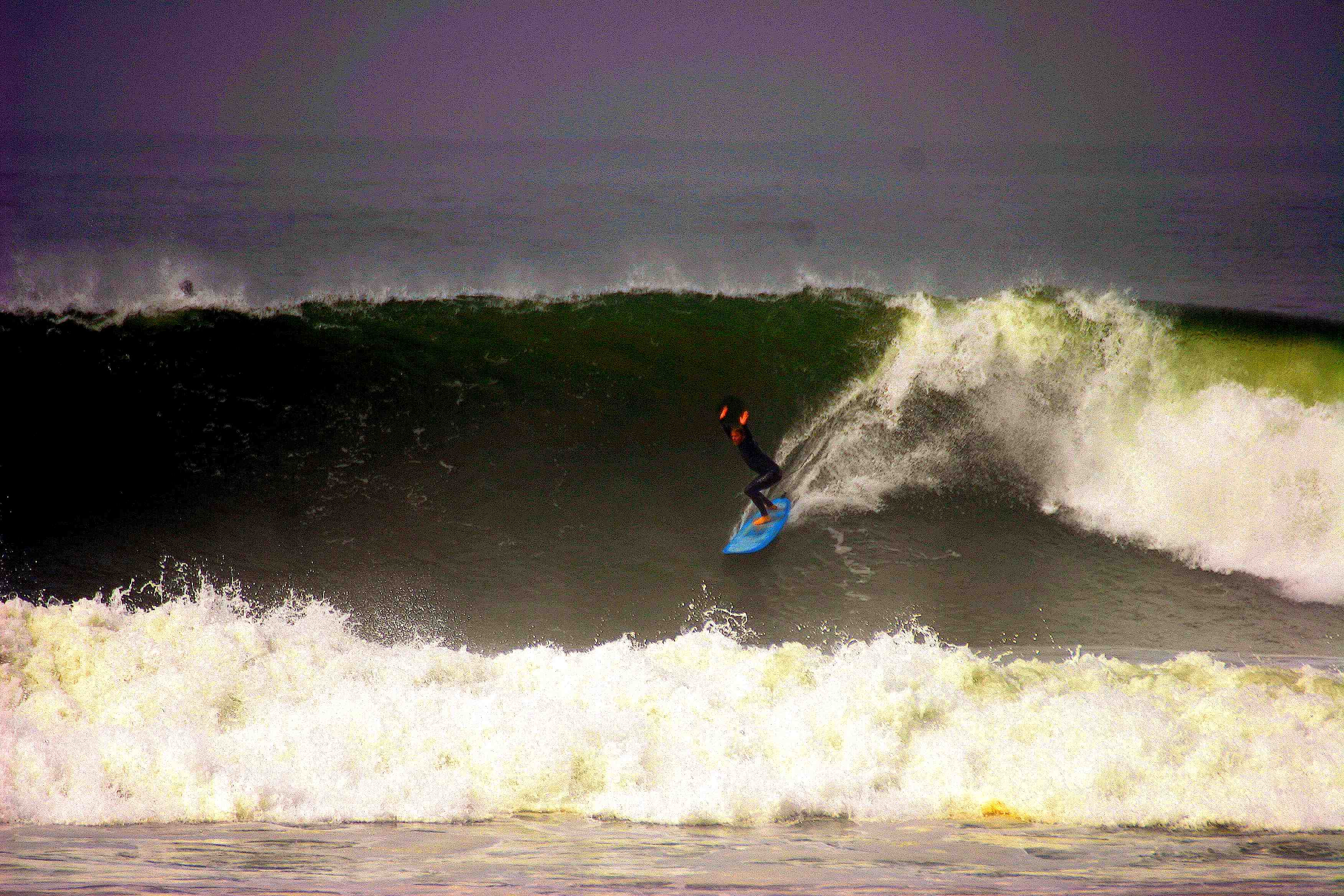 surfing swamis